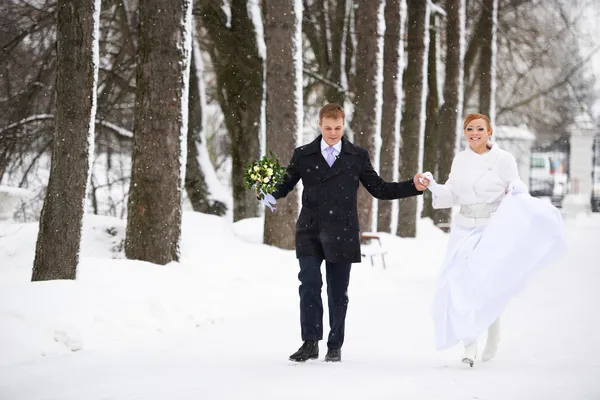 השכרת ציוד לחתונה בחורף