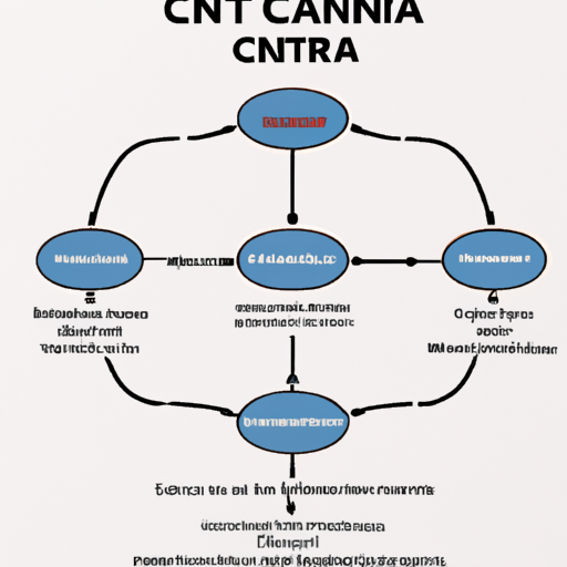 תרשים של מבנה קורס CCNA